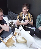 2018-CatCafe-015.jpg