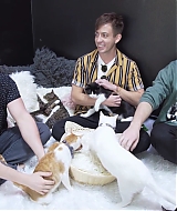 2018-CatCafe-017.jpg