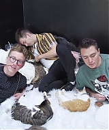 2018-CatCafe-023.jpg