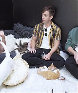 2018-CatCafe-070.jpg