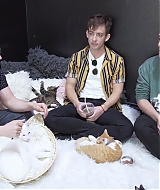 2018-CatCafe-099.jpg