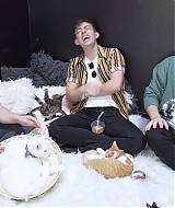 2018-CatCafe-136.jpg