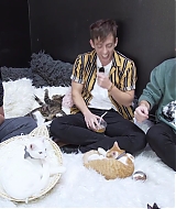 2018-CatCafe-140.jpg