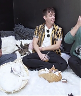 2018-CatCafe-143.jpg