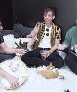 2018-CatCafe-147.jpg