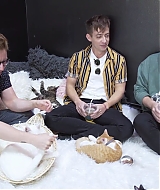 2018-CatCafe-148.jpg