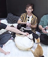 2018-CatCafe-149.jpg