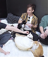 2018-CatCafe-152.jpg