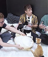 2018-CatCafe-155.jpg