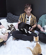 2018-CatCafe-158.jpg