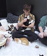 2018-CatCafe-169.jpg