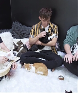 2018-CatCafe-170.jpg