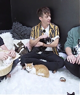 2018-CatCafe-176.jpg