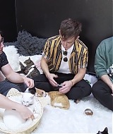 2018-CatCafe-181.jpg