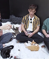 2018-CatCafe-207.jpg