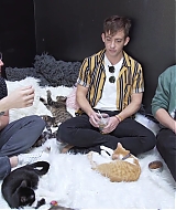 2018-CatCafe-212.jpg