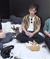 2018-CatCafe-215.jpg