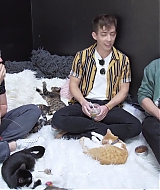 2018-CatCafe-219.jpg