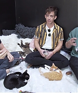 2018-CatCafe-226.jpg