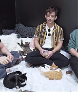 2018-CatCafe-231.jpg