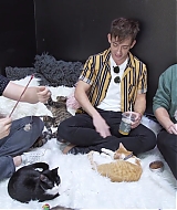 2018-CatCafe-241.jpg