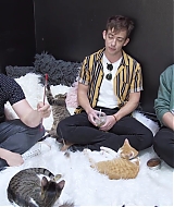 2018-CatCafe-256.jpg