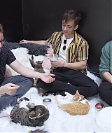 2018-CatCafe-264.jpg