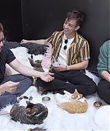 2018-CatCafe-265.jpg