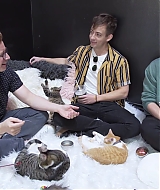 2018-CatCafe-267.jpg