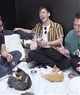 2018-CatCafe-271.jpg