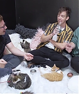 2018-CatCafe-272.jpg