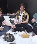 2018-CatCafe-276.jpg