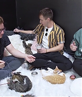 2018-CatCafe-277.jpg