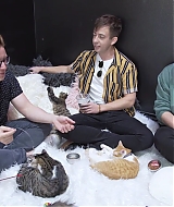 2018-CatCafe-278.jpg