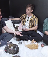 2018-CatCafe-280.jpg