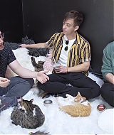 2018-CatCafe-290.jpg