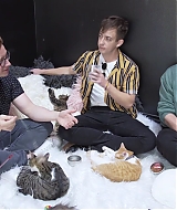 2018-CatCafe-292.jpg