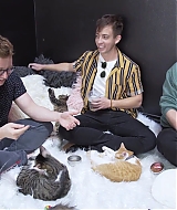 2018-CatCafe-298.jpg